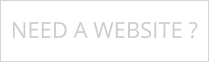 NEED A WEBSITE ?