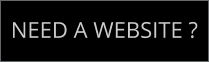 NEED A WEBSITE ?